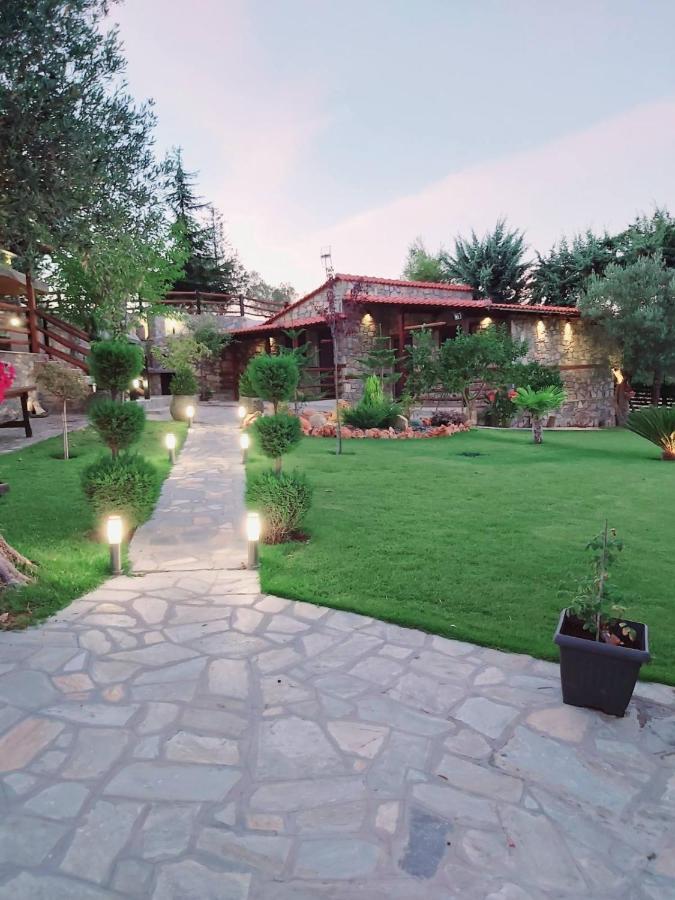 Dimitris' Villas - Villa 3 奥马斯帕纳吉亚斯 外观 照片