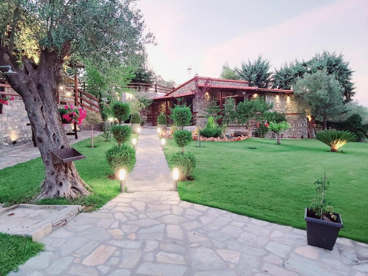 Dimitris' Villas - Villa 3 奥马斯帕纳吉亚斯 外观 照片